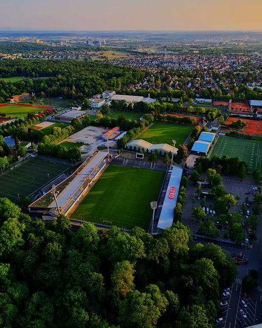 中的劣势 中的劣势