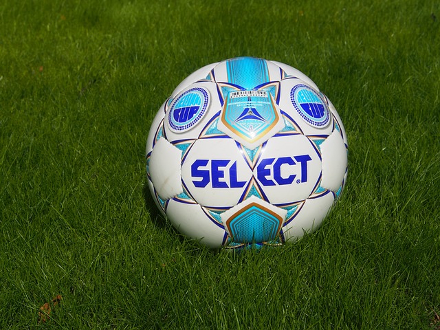 将进一步提 将进一步提