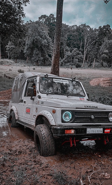 令人驚訝的 令人驚訝的