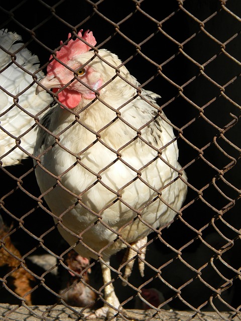 提起虞书欣 提起虞书欣